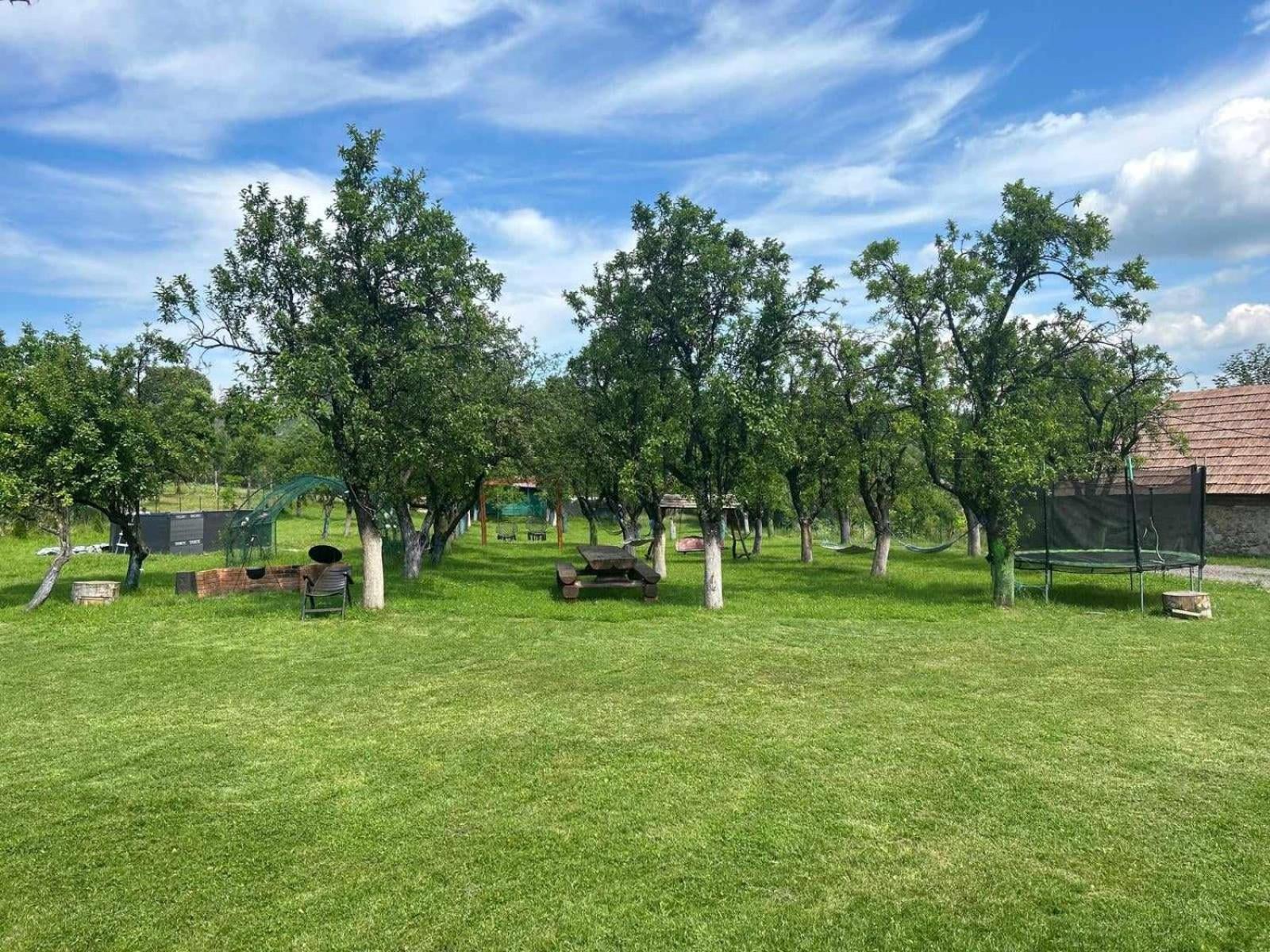 Agropensiunea Darden Baia de Fier Exterior photo